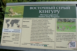 P1410777.JPG