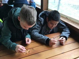 IMG_6532.JPG