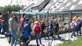 20170602_112758.jpg