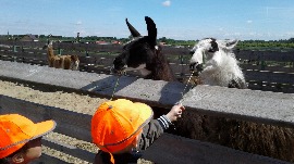 20170602_113540.jpg
