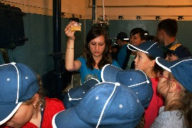 DSC00540.JPG