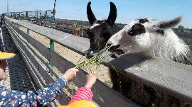 20170602_113610.jpg