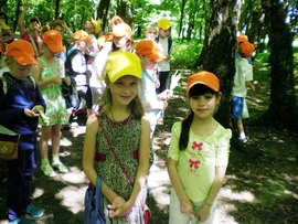SANY0031.JPG