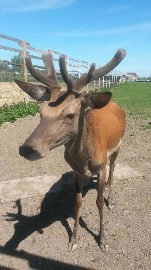 20170602_110811.jpg