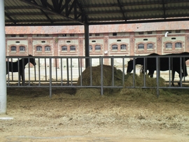 SANY0015.JPG
