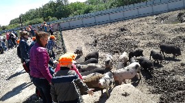 20170602_111233.jpg
