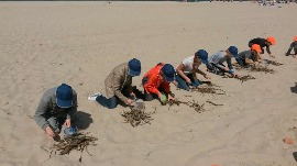 20170606_112109.jpg