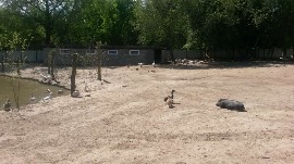 20170602_110027.jpg
