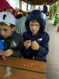 IMG_20180703_112544.jpg
