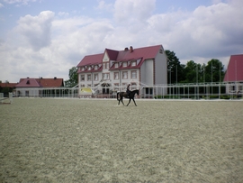 SANY0088.JPG
