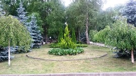 20170616_112622.jpg
