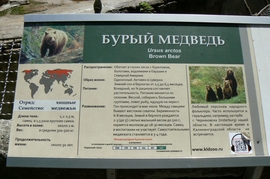 P1410870.JPG