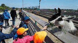 20170602_113526.jpg