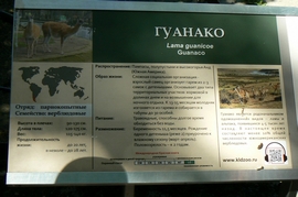 P1410880.JPG
