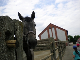 SANY0049.JPG