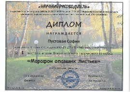 192ef15ed1278ed87a69a3c962ee867e.JPG
