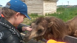 20170602_114338.jpg