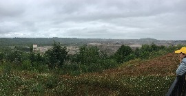 IMG_6570.JPG