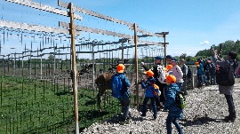 20170602_111339.jpg