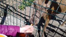 20170602_111015.jpg