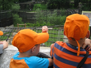 04.07 В зоопарке\IMG_2898.JPG