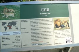 P1410833.JPG