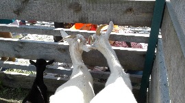 20170602_113841.jpg
