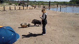 20170602_110457.jpg