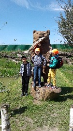 20170602_113004.jpg
