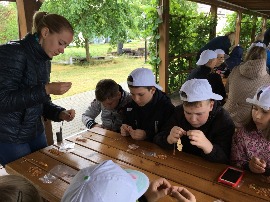 IMG_6533.JPG