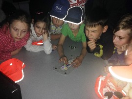 IMG_8196.jpg