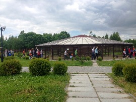 IMG_8246.jpg