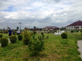 IMG_8247.jpg