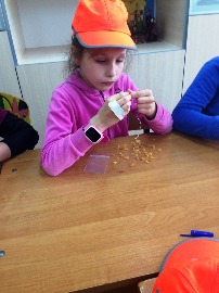 IMG_8158.JPG
