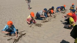 20170606_115419.jpg
