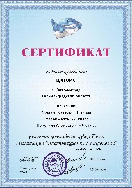 2017 (2).jpg