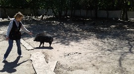 20170602_110358.jpg
