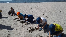 20170606_111510.jpg