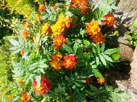 20160705_121633.jpg