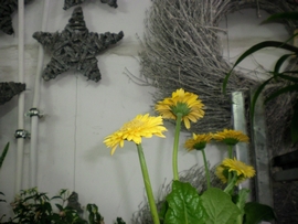 SANY0088.JPG
