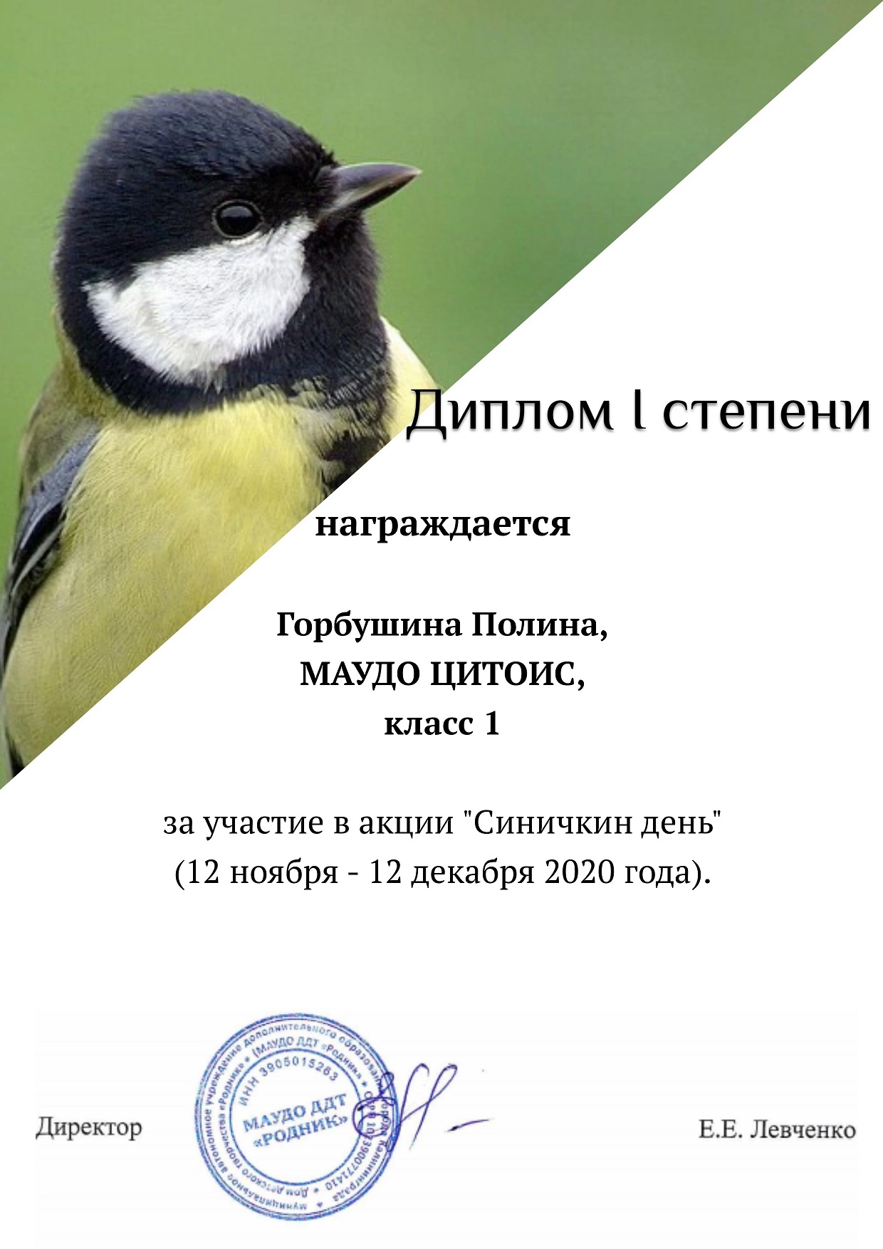 Дети. Город. Синичкин день. Горбушина