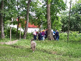 20180606_110420.jpg