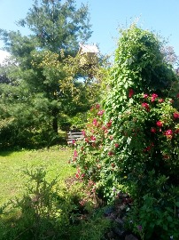 20160705_110323.jpg
