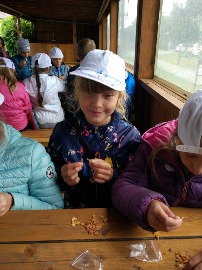 IMG_20180703_112558.jpg