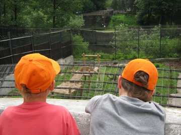 04.07 В зоопарке\IMG_2897.JPG