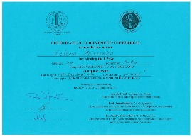 1 место в гор.конкурсе, Моисеенко В.