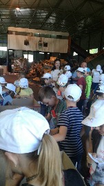 IMG_6338.JPG