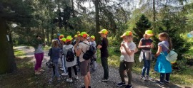 20190614_103123 (Средний).jpg