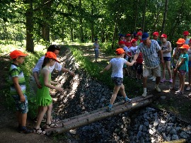 IMG_2883.jpg
