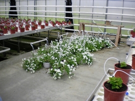 SANY0070.JPG
